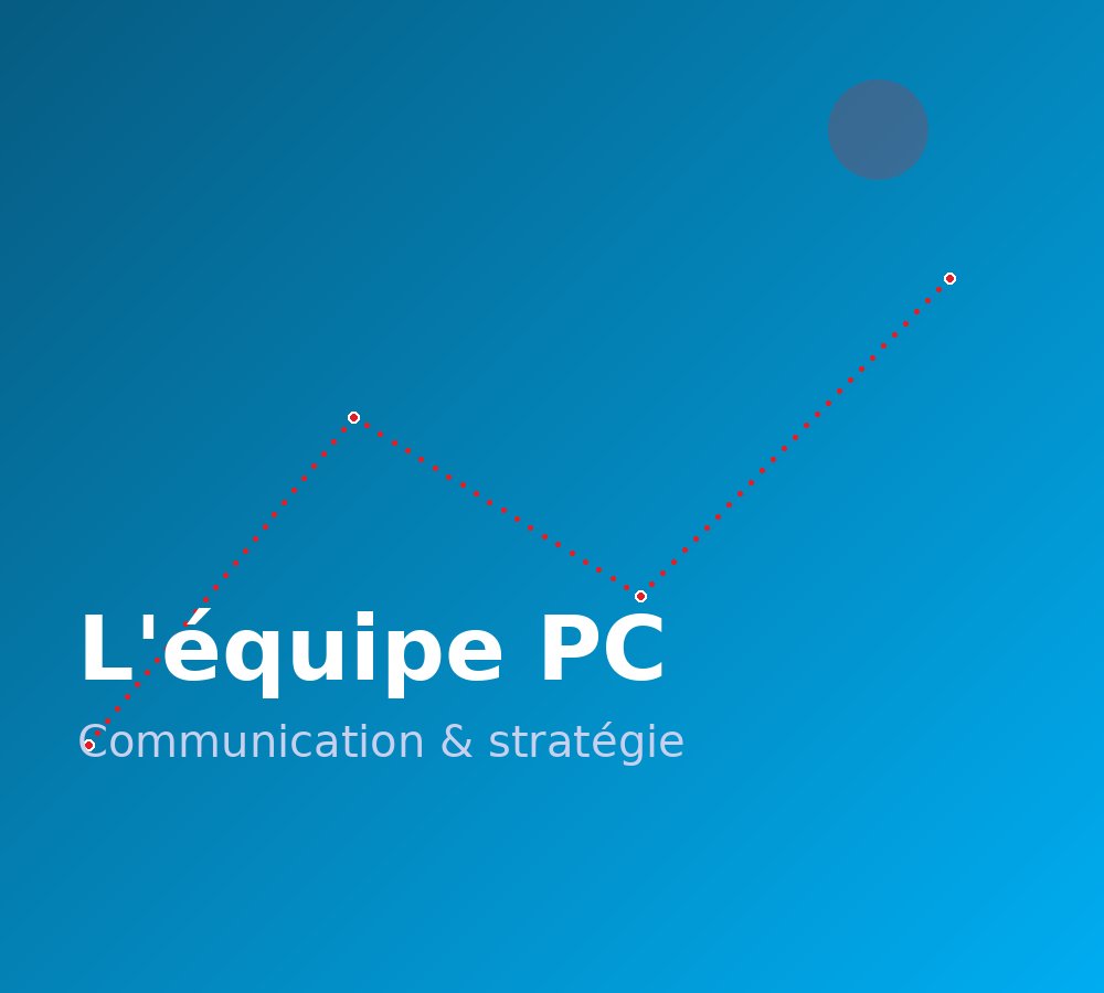 L'équipe de LES PETITS COMMISSIONNAIRES SARL